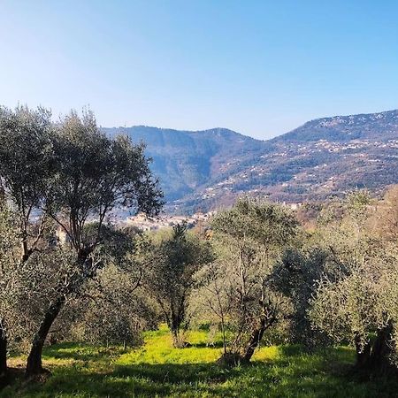 Bas de villa. Côte d'Azur, à 20 kms de Nice Contes  Extérieur photo