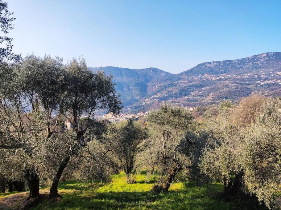 Bas de villa. Côte d'Azur, à 20 kms de Nice Contes  Extérieur photo